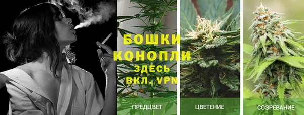 jwh Бородино